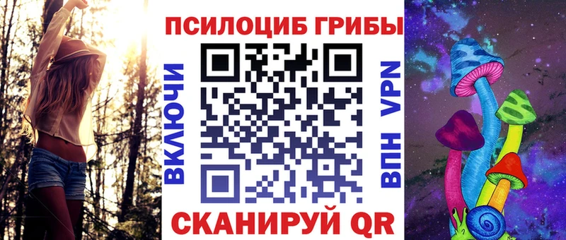 Галлюциногенные грибы Psilocybine cubensis Краснослободск