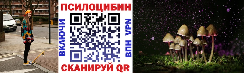 магазин наркотиков Краснослободск MEGA tor Псилоцибиновые грибы Psilocybe